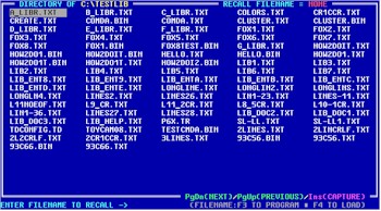 directory of files display